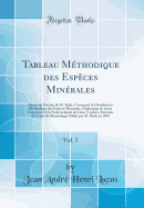 Tableau Mthodique Des Espces Minrales, Vol. 1: Orne Du Portrait de M. Hay, Contenant La Distribution Mthodique Des Espces Minrales, l'Indication de Leurs Caractres Et La Nomenclature de Leurs Varits, Extraites Du Trait de Minralo