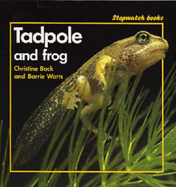 Tadpole and Frog