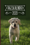 Tageskalender 2020: Terminkalender ca DIN A5 wei? ?ber 370 Seiten I 1 Tag eine Seite I Jahreskalender I Labrador I Hunde