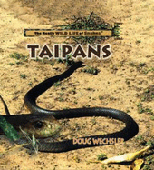 Taipans