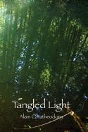 Tangled Light: At Play in the Forest of Night