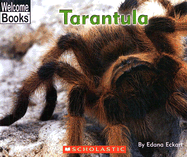 Tarantula