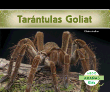 Tarantulas Goliat (Bird-Eating Spiders)