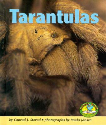 Tarantulas - Storad, Conrad J, and Jansen, Paula (Photographer)