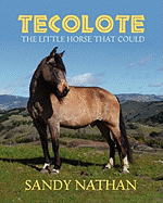 Tecolote: The Little Horse That Could