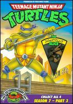 Teenage Mutant Ninja Turtles: Season 7, Pt. 3 - The Donatello Slice