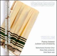 Tehilim: Psalms between Judaism and Christianity - Albert van Ommen (tenor); Alberto ter Doest (tenor); Annet Lans (soprano); Gilad Nezer (bass); Heleen Koele (soprano);...