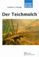 Teichmolch