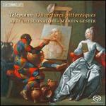 Telemann: Ouvertures pittoresques - Arte dei Suonatori; Martin Gester (conductor)