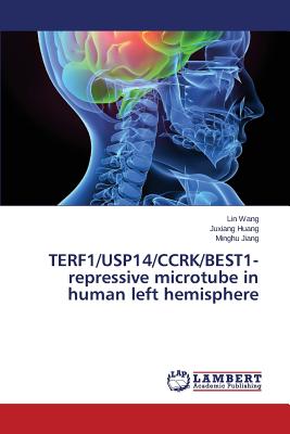 TERF1/USP14/CCRK/BEST1-repressive microtube in human left hemisphere - Wang Lin, and Huang Juxiang, and Jiang Minghu