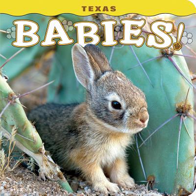 Texas Babies! - Lehmann, Steph