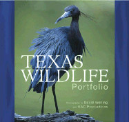 Texas Wildlife Portfolio