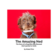 The Amazing Ned