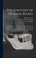 The Anatomy of Humane Bodies: With Figures Drawn After the Life ... and Curiously Engraven in One Hundred and Fourteen Copper Plates, Illustrated With Large Explications, Containing Many New Anatomical Discoveries, and Chirurgical Observations, To...