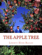 The Apple Tree: A Guide To Growing Apples At Home