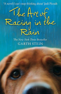 The Art of Racing in the Rain - Stein, Garth