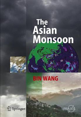 The Asian Monsoon - Wang, Bin