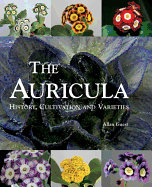 The Auricula: History, Cultivation and Varieties