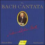 The Bach Cantata, Vol. 13 - Adalbert Kraus (tenor); Arleen Augr (soprano); Carolyn Watkinson (alto); Doris Soffel (alto); Edith Wiens (soprano);...