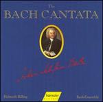 The Bach Cantata, Vol. 47 - Adalbert Kraus (tenor); Aldo Baldin (tenor); Arleen Augr (soprano); Eva Randova (alto); Helen Donath (soprano);...