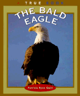 The Bald Eagle