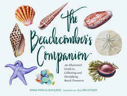 The Beachcomber's Companion: An Illustrated Guide to Collecting and Identifying Beach Treasures (Watercolor Seashell and Shell Collecting Book, Beach Lover Gift)