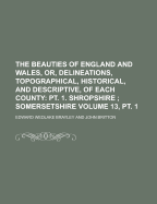 The Beauties of England and Wales, or Delineations, Topographical, Historical, and Descriptive, of Each County, Vol. 6: Embellished with Engravings (Classic Reprint)