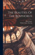 The Beauties Of The Bosphorus