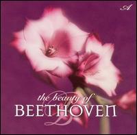 The Beauty of Beethoven - Michael Maxwell