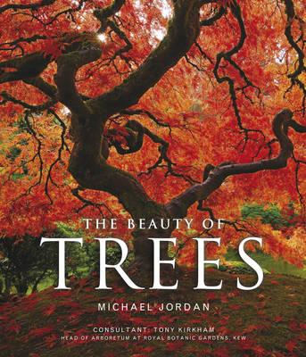 The Beauty of Trees - Jordan, Michael