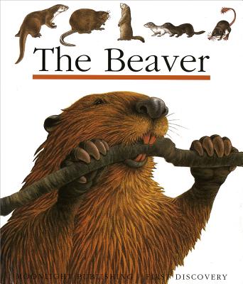 The Beaver - Perols, Sylvaine