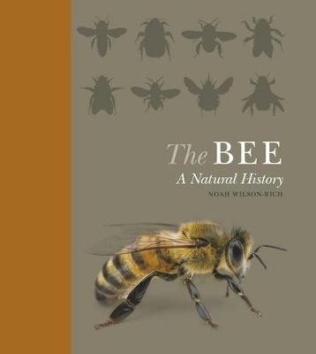 The Bee: A Natural History - Wilson-Rich, Noah, and Allin, Kelly