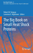 The Big Book on Small Heat Shock Proteins
