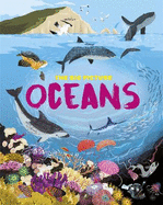 The Big Picture: Oceans