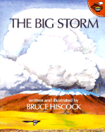 The Big Storm