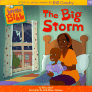 The Big Storm - Reid, Robin, BSC, MB, Chb