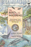The Bird in the Waterfall: Exploring the Wonders of Water