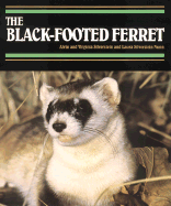 The Black-Footed Ferret
