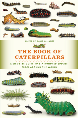 The Book of Caterpillars: A Life-Size Guide to Six Hundred Species from Around the World - James, David G (Editor)