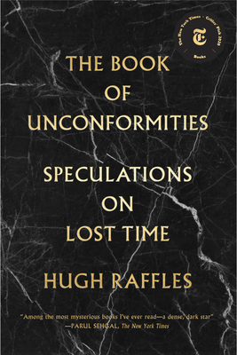 The Book of Unconformities: Speculations on Lost Time - Raffles, Hugh