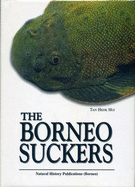 The Borneo Suckers: Revision of the Torrent Loaches of Borneo (Balitoridae: Gastromyzon, Neogastromyzon)