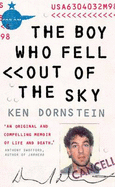 The Boy Who Fell Out of the Sky