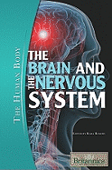 The Brain and the Nervous System