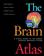 The Brain Atlas: A Visual Guide to the Human Central Nervous System - Hanaway, Joseph, and Woolsey, Thomas A, and Gado, Mokhtar H