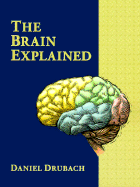 The Brain Explained