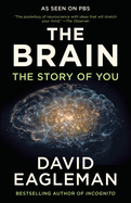 The Brain: The Story of You
