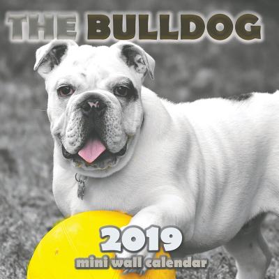 The Bulldog 2019 Mini Wall Calendar - Over the Wall Dogs