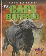 The Cape Buffalo