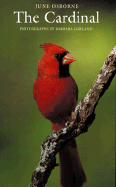 The Cardinal