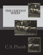 The Cheviot Sheep